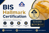 Bis Hallmark License Online Registration