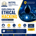 Diploma In Ethical Hacking (6 Months) | Cyber Security Course | N...