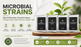 Soil Conditions Limiting Nutrient Uptake? Get Microbial Strains –...