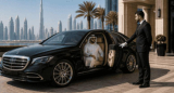 Executive Chauffeur & Corporate Car Hire In Dubai — Cars With Dri...