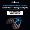 Why Are Companies Investing More In Iam Professionals | Gologica