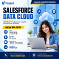 Salesforce Data Cloud Online Training – New Batch Starts Sep 14