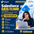 Salesforce Data Cloud Online Training | New Batch Open!