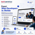 How to Choose the Right Website Designing Company in Noida for Your Business?
