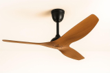Premium Designer Ceiling Fan in Home