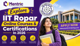 Iit Ropar Certification Program: 3-month Ai & Automation Course F...