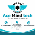 Website Designing Agency In Vaishali Acemindtech