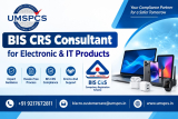 Bis Crs Consultant For Electronic & It Products