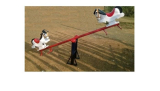 Double Horse See-saw Manufacturers In India - Parthfibrotech