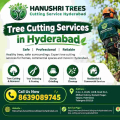 Tree Cutting Services In Hyderabad