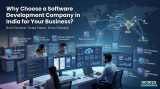 Why Choose A Software Development Company In India For Your Busin...