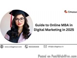 Guide To Online Mba In Digital Marketing In 2025