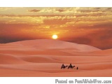 The image is a photograph of a desert landscape at sunset. The sky is a beautiful orange and yellow color, with the sun setti...