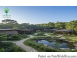 Holistic Wellness Center in Udaipur | Rajbagh Wellness