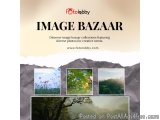 Image bazaar