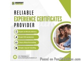 Experience Certificates Provider In Lucknow