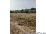 The image shows a vast open field with a dirt path winding through it. The field appears to be dry and barren, with patches o...