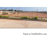 The image shows an empty parking lot with a few plants and trees scattered throughout. The parking lot appears to be empty, w...