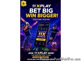 Trusted Online Cricket Id Services Through 11xplay