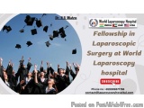 Fellowship in Laparoscopic Surgery
