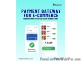 payment Gateway Solution for all business in Noida