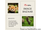 Shutter Stock Image Download