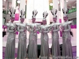 The image shows a group of six women standing in a line, posing for a photo. They are all wearing long, silver dresses with a...