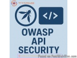 OWASP API security