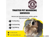 Tails & Coffee | pet boarding in gurgaon