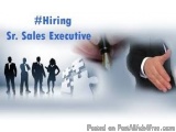 The image is a graphic design that promotes hiring a Sales Executive. It has a blue background with white text that reads "#H...