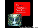 Free Photos Download