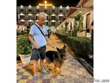 Comfortable Dog Friendly Hotels in Mandarmani