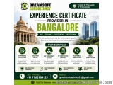 Career Documentation Services for Bangalore Professionals