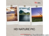 HD Nature Pic
