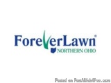 Upgrade Your Lawn With Artificial Grass Installation