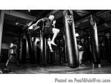 Join MMA Training in Noida for Fitness, Self-Defense & Discipline