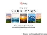 Free Stock Images