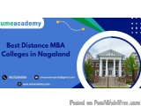 Best Distance MBA Colleges in Punjab