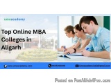 Top Online Mba Colleges In Aligarh