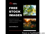 Free Stock Images