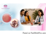 Trusted Ivf Specialists In Bangalore - Tamara Hospital & Ivf Cent...