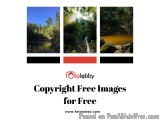 Copyright Free Images for Free