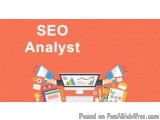 The image is an advertisement for a SEO Analyst. It has an orange background with the words "SEO Analyst" written in bold whi...
