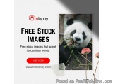 Free Stock Images