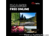 Images Free Online