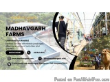 Gurgaon