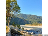 Corbett Booking Services For A Hassle-free Wildlife Journey