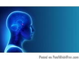 Best Neurosurgeon In Gota At Lifeline Multispeciality Hospital