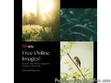 Free Online Images