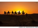 The image shows a group of people riding camels in a desert at sunset. The sky is a beautiful orange and yellow color, with t...